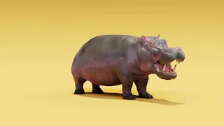 Hippo   Rigged Low Poly 3D Model Download Now | Ingamez