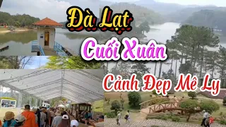 Đà Lạt Chiều Cuối Xuân - Cảnh Đẹp Mê Ly - Thu Hút Nhiều Du Khách