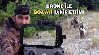 DRONE İLE BOZ AYILARI GÖRÜNTÜLEDİK! | KARS, SARIKAMIŞ'IN DEV BOZ AYILARI!!!