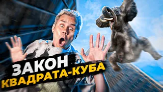 Какой ПРЕДЕЛ ВЫСОТЫ и РАЗМЕРОВ? Закон Квадрата-куба — ТОПЛЕС