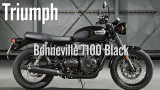 [시승기] T120이 아닌 T100을 산 이유 ∥Triumph bonneville T100 Black