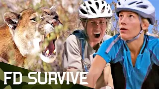 Survival Stories: Mountain Lion Attack | Fight To Survive | FD Survive