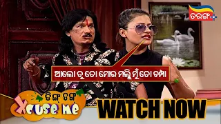 ଆଲୋ ତୁ ତୋ ମୋର ମଲ୍ଲି ମୁଁ ତୋ ଚମ୍ପା | Streaming Now | Papu Pom Pom | Ding Dong Excuse Me | Tarang Plus