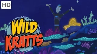 Wild Kratts - Creatures of the Caribbean