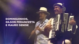 Dominguinhos, Gilson Peranzzetta e Mauro Senise - BankBoston Rio Instrumental