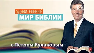 Законы джунглей или десять заповедей | Удивительный мир Библии