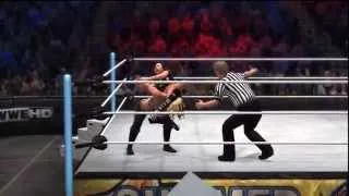 AJ Lee vs Kaitlyn 2