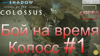 Shadow of the Colossus (В тени колосса) Бой на время: сложный [Колосс] #1