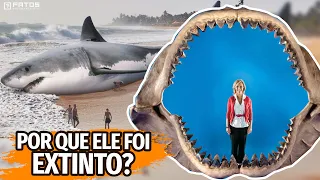 Como o megalodonte foi extinto?