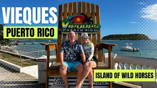 TOUR Vieques Puerto Rico-Island of Wild Horses and Bio Bay!