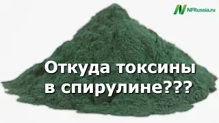 Откуда токсины в спирулине? Детский припадок от спирулины. Обзор исследований