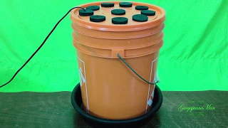 How to make the best Hydroponic Super Cloner