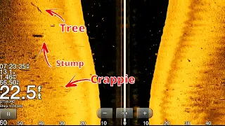 How to use Side Imaging to Find Crappie in the summer