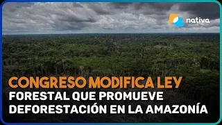 📍Congreso modifica ley forestal que promueve deforestación en la Amazonía