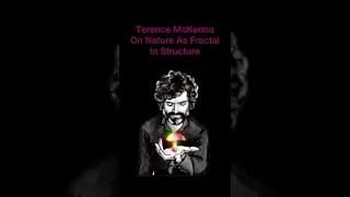 Terence McKenna on Nature as Fractal in Its Structure