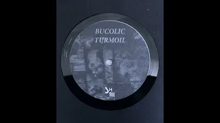 Bucolic Turmoil - Side B SH035 SPLIT (Full Album Stream)