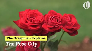 Why is Portland the Rose City? The Oregonian Explains
