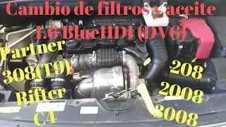 Cambio de filtros y aceite 1.6 blueHDI, Peugeot, citroen. Partner, 308 (T9), Rifter