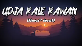 Udja Kale Kawan (Slowed + Reverb) | Gadar | Victory | Lofi Song | NYK Music Production