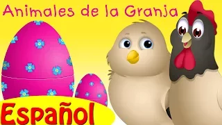 Aprende los Bebés de los Animales Granja y Sonidos de Animales (Baby Farm Animals) | ChuChu TV