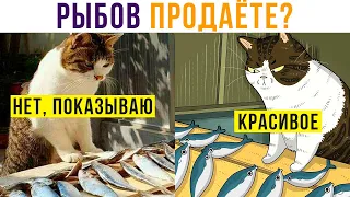 ВЫ ПРОДАЁТЕ РЫБОВ?))) Приколы с котами | Мемозг 752