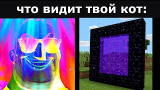 Что ВИДИШЬ ты vs Что ВИДИТ твой кот (часть 2)