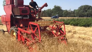 Massey Ferguson 31-6