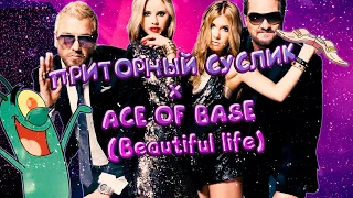 БАРХАТНЫЕ ТЯГИ x ACE OF BASE - BEAUTIFUL LIFE (MASHUP BY ПРИТОРНЫЙ СУСЛИК)