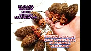 Mutyang salsagan orig.. isa sa pina ka tested din na vertudes al contra baril