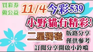 11/4 今彩539 小野貓有"精彩"539 二星獨碰版路分享 頭彩❤小野貓來了~★★