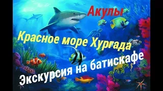 Подводный мир, Акулы, Красное море.Экскурсия на батискафе.