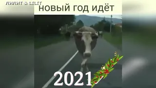 #новыйгод НОВЫЙ ГОД К НАМ ИДЁТ! Новогодняя песня. С Новым 2021  годом! ;-)