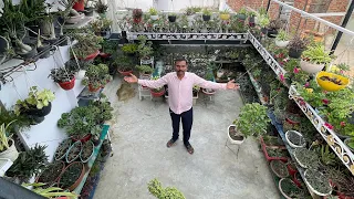 ये है लखनऊ की अनोखी बाग़िया, यहाँ हैं पौधों की अनगिनत वैरायटी 🪴 😯 Beautiful Garden Tour of Lucknow