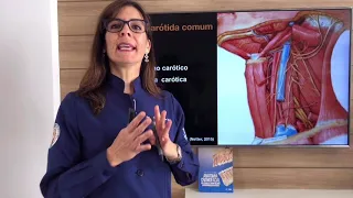 Vascularização Arterial da Cabeça e do Pescoço. PARTE  1