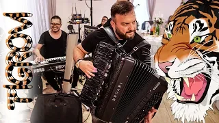 🐯 TIGROVSKI INSTRUMENTAL I KOLO 🐯 - BORKO RADIVOJEVIC & ORKESTAR TIGROVI - Vrsac 2019