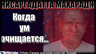 На поверхность может выйти всё что угодно... Нисаргадатта Махарадж #просветление #ум #осознанность