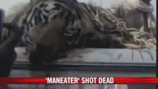 Maneater shot dead in Chandrapur