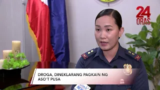 Droga, dineklarang pagkain ng aso’t pusa | 24 Oras