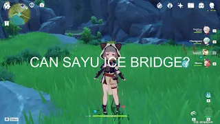 Can Sayu ice bridge?