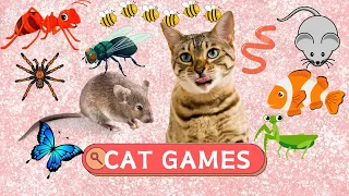CATS TV - Worm, Mouse, Butterfly Game 🙀🪱🔊 Sound 😻📺 - CAT GAMES [4K]