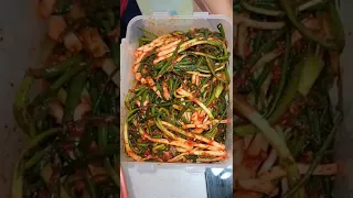 spicy korean green onion kimchi #shorts #shortsvideo #viral #trending #greenonionkimchi #spicykimchi