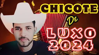 CHICOTE D` LUXO FORRÓ NA ROÇA 2024 AS MELHORES