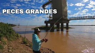 PESCA EN PILOTES MUY PROFUNDOS🤯🤯 armados ~ moncholos ~ bogas