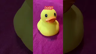 Classic Yellow Rubber Duck! 🐤🦆#short #fun #rubberduck