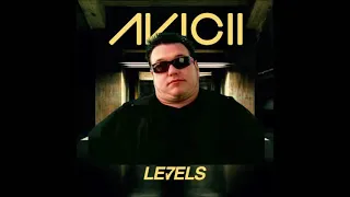 Smash Levels (Avicii - Levels/Smash Mouth Mash Up)