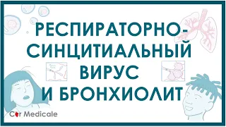 Респираторно-синцитиальный вирус человека - механизм развития, симптомы, принципы лечения