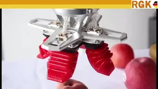 RGK/URA V.S Robot  RSG pneumatic soft gripper All kinds of fruit clip application R17080