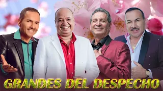 Dario Gomez, Luis Alberto Posada, El Charrito Negro, Jorge Luis Hortua Musica Popular y Despecho Mix