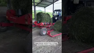 Технология заготовки сенаж в упаковке для маралов