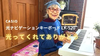 Optical Navigation Keyboard LK-520 - Perfect for Grandma Uliuli at the Everyday Stay Home